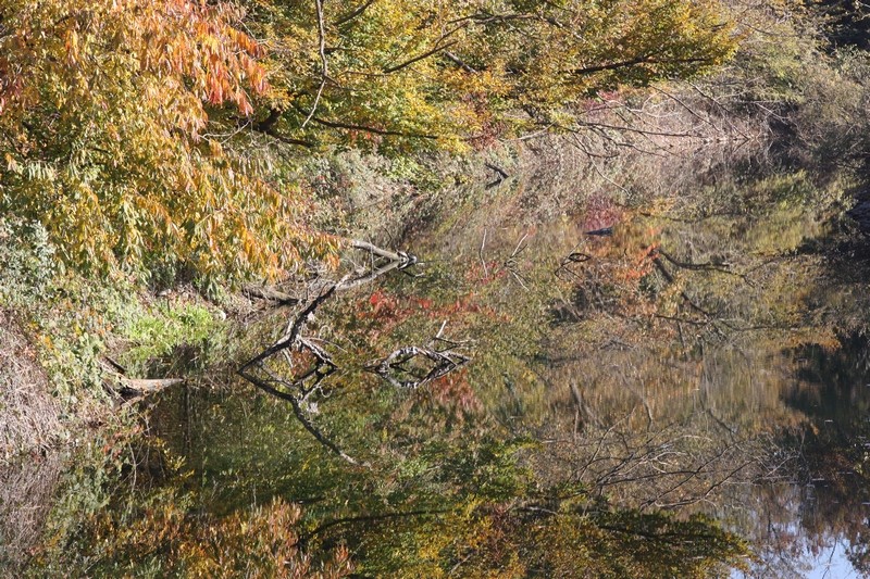 Un mondo riflesso...